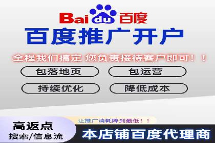 百度推广平台助力企业快速成长的营销策略案例